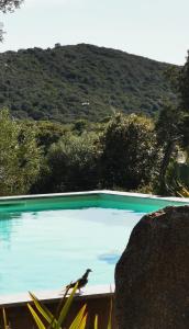 Appartements U caseddu di Monacia : photos des chambres