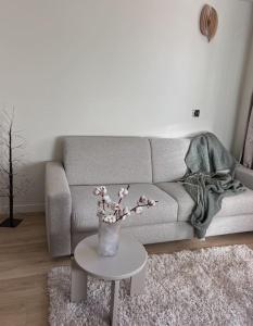 Appartements Baby Jane, Studio front de neige : photos des chambres