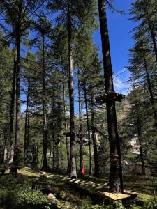 Appartements Baby Jane, Studio front de neige : photos des chambres