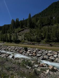 Appartements Baby Jane, Studio front de neige : Appartement 1 Chambre