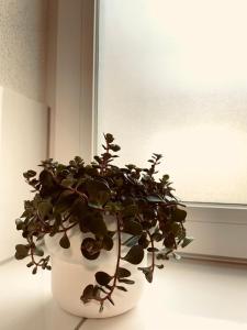 Ferienwohnung am Anger