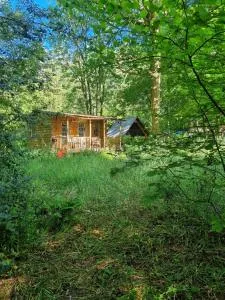 The Shack in the Woods - Stoke Prior