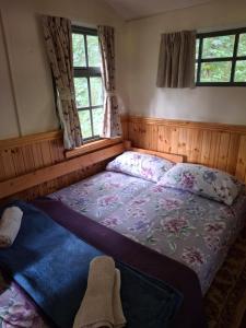 The Shack in the Woods- Off Grid