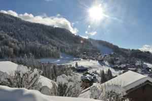 Appartements AT101 Appartement 6 Pers proche base de loisirs : photos des chambres