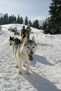 Appartements AT101 Appartement 6 Pers proche base de loisirs : photos des chambres