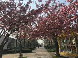 Cosy appart à balcon Tour Eiffel et parking