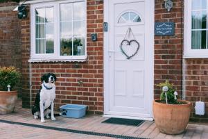 1 Bed Sleeps 3 Free Parking Pets Allowed