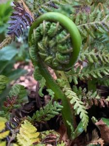 Luxury Attic Studio, heart of Uppermill, Saddleworth