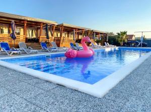 Mobilheim Camping 6 Personen Pool am Meer