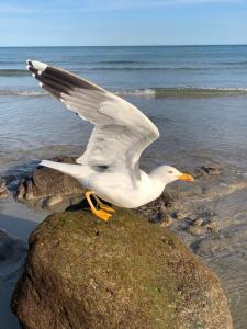 Welooveyou Ayre & Soul