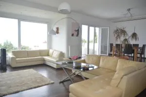 Caecilia & Lawrence Villa - 新阿尔塔基