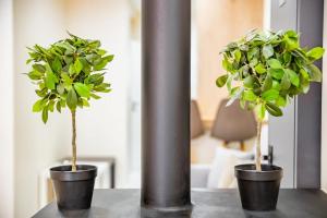 Charming Studio in Athens