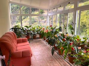 Vale dos Passarinhos