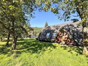 Chalet Lodge 6 by Interhome - 史宾桥