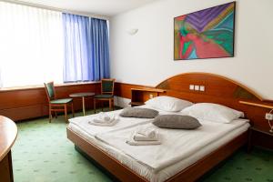 Suite with Balcony room in Hotel Sport - Terme Krka