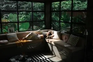 Bhadra - The estate villa - Devāla