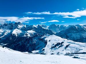 Appartements Chez Naomi - Studio Mirjam : photos des chambres