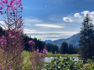 Appartements Chez Naomi - Studio Mirjam : photos des chambres