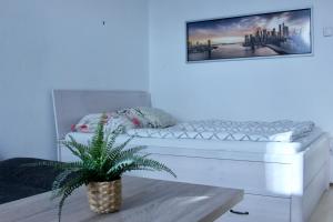 Cozy one bedroom apartment in Vienna