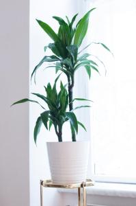 Cozy one bedroom apartment in Vienna