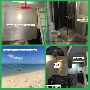 à pied dans l eau écolo 97434 - 艾尔米塔什莱班