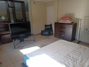 Vilnius Cat Friendly