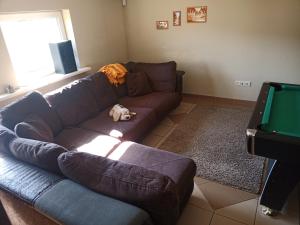 Vilnius Cat Friendly