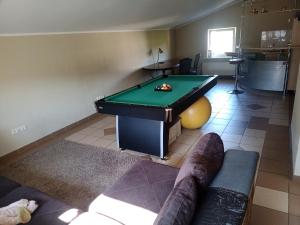 Vilnius Cat Friendly