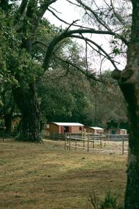 Campings Roulottes cocooning au coeur des Landes : Bungalow Supérieur
