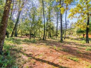 Maisons de vacances Holiday Home La Bonne Nouvelle by Interhome : photos des chambres