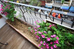 Mercury Central Hotel Hanoi