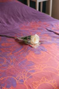 Appartements Apartment Le Moulin de Rose by Interhome : photos des chambres