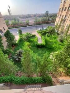 Spacieux Appartement