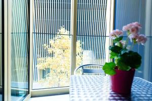 HITrental Allmend Comfort Studios