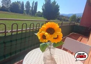 Casa dei Comics di Lucca - Massa Macinaia