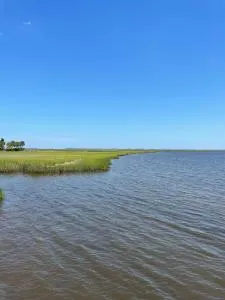 100 Commander - Mays Bluff