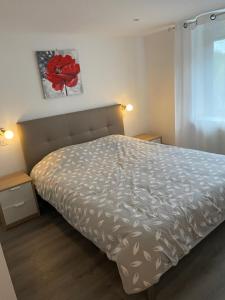 Appartements Gite du jardin : photos des chambres