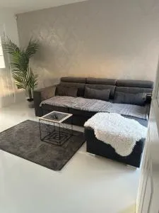 Black Daisy - Tollcross