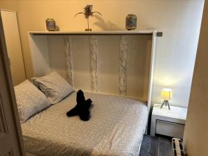 Appartements Rivieira - 3- des thermes - T1 : photos des chambres