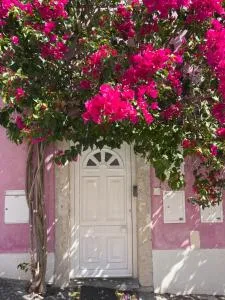 玫瑰色之家公寓 - 阿尔热什