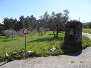 Au calme en campagne au milieu des oliviers centenaires
