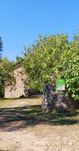 Au calme en campagne au milieu des oliviers centenaires