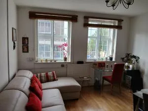 Sunny and spacious flat in NW3 - 汉普斯敦