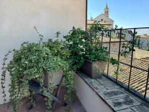 Appartamento Mazzini