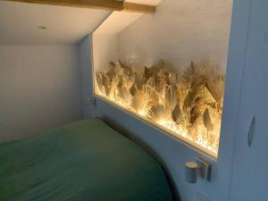 Joli appartement - Roques