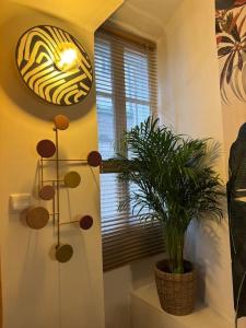 Appartement T2 - lit KING SIZE en Hypercentre