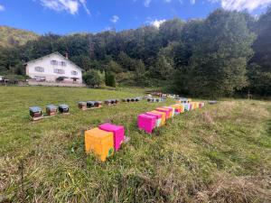 Maisons de vacances LE GITE DES ABEILLES : photos des chambres