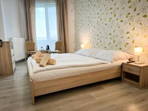 Standard Double Room room in Hotel Modena