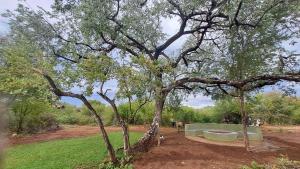 ZuriCamp - Campsite Safiri