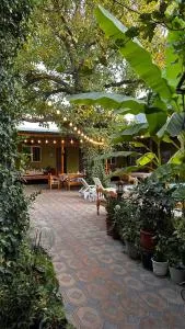 Green Yard boutique guesthouse - Tashkent